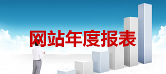 网站年度报表
