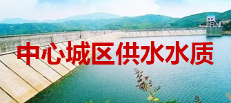 中心城区供水水质