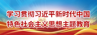 学习贯彻习近平新时代中国特色社会主义思想主题教育